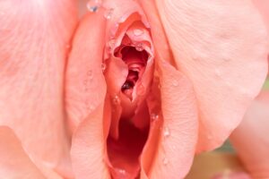 Vaginal Rejuvenation Benefits